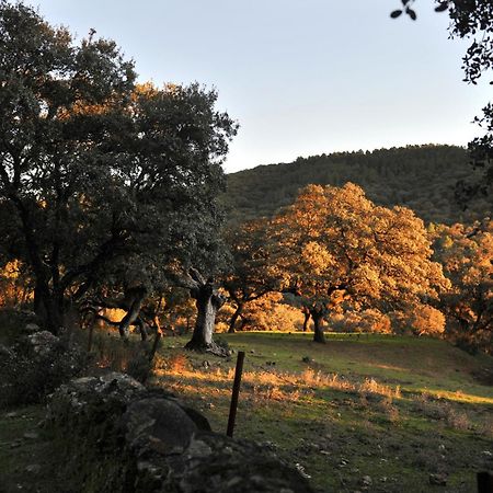 La Molinilla Apartamentos Y Hammam (Adults Only) Linares de la Sierra Exteriör bild